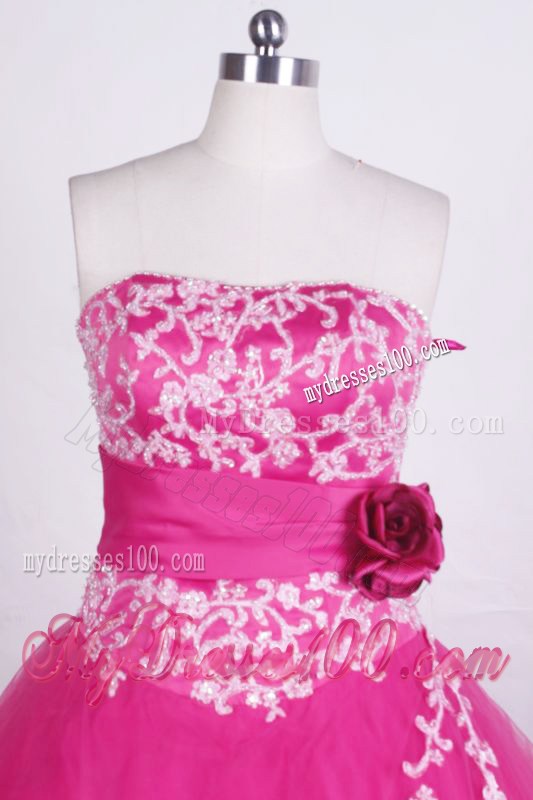 Flower Sweetheart Appliqued Dress for Quinceanera in Hot Pink